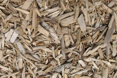 biomass boilers Fairburn